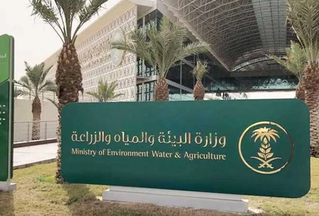 استعدادات شاملة لموسم الحج… “بيئة مكة” تقدم كل إمكانياتها لخدمة ضيوف الرحمن استعدادات شاملة لموسم الحج… “بيئة مكة” تقدم كل إمكانياتها لخدمة ضيوف الرحمن