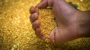 استقرار أسعار الذهب عقب إصدار محضر اجتماع البنك المركزي الأمريكي