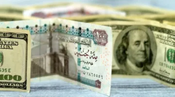 استقرار سعر الدولار مقابل الجنيه المصري