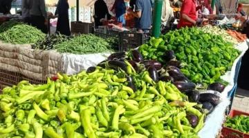 استكشف أسعار الفواكه والخضروات في أسواق الوادي الجديد