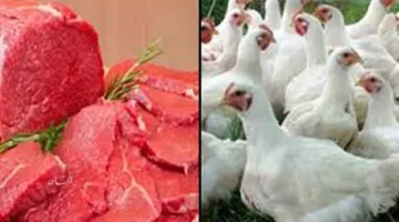 استكشف أسعار اللحوم والدواجن في الفيوم