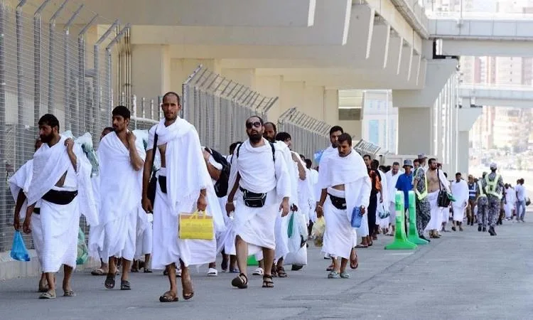 استكشف نصائح صحية للحجاج. استكشف نصائح صحية للحجاج.