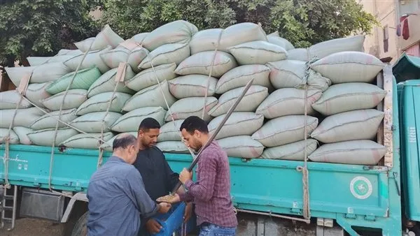 زيادة نسبة توريد القمح المحلي في الإسماعيلية بنسبة 102.5% زيادة نسبة توريد القمح المحلي في الإسماعيلية بنسبة 102.5%