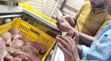 استيلاء على 1000 دجاجة منتهية الصلاحية في مسلخ غير مرخص بالغربية