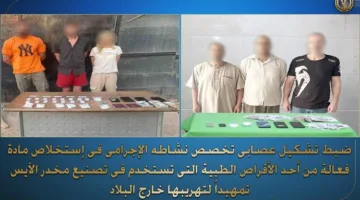 استيلاء على شبكة إجرامية متخصصة في استخراج مادة تستخدم لصناعة مخدر الآيس