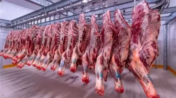 اطلع على أسعار اللحوم الحمراء اليوم في أسواق الدقهلية