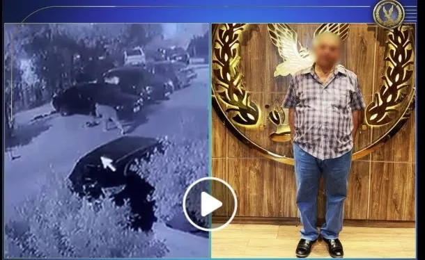 اعتداء وحشي: القبض على شخص باستخدام عصا لقتل كلب في النزهة اعتداء وحشي: القبض على شخص باستخدام عصا لقتل كلب في النزهة
