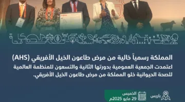 اعتراف عالمي بسلامة السعودية من طاعون الخيل الأفريقي