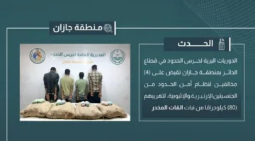 اعتقال 4 أشخاص بتهمة تهريب 80 كيلوجرامًا من القات المخدر في جازان