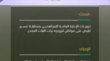 اعتقال شخص بسبب ترويج نبات القات في عسير