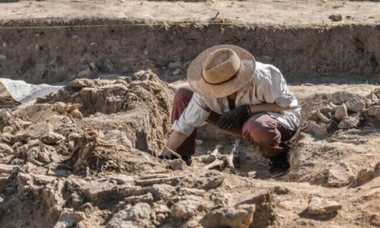 اكتشاف تاريخي: بيع ألعاب الأطفال في سوريا قبل 4500 سنة اكتشاف تاريخي: بيع ألعاب الأطفال في سوريا قبل 4500 سنة