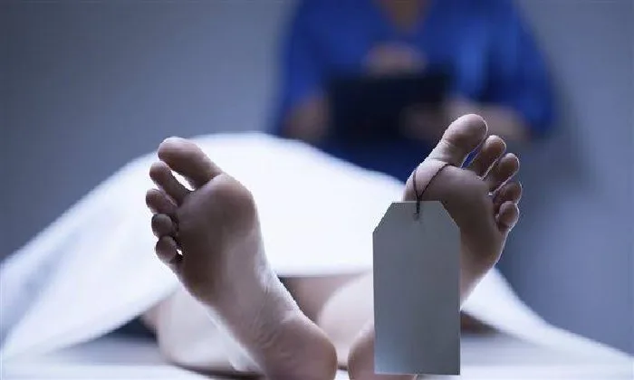 اكتشاف جثة شخص في ظروف غامضة في فيصل.. والجهات الأمنية تتدخل اكتشاف جثة شخص في ظروف غامضة في فيصل.. والجهات الأمنية تتدخل