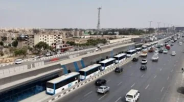 اكتشف أسعار تذاكر حافلات النقل الترددي على الطريق الدائري