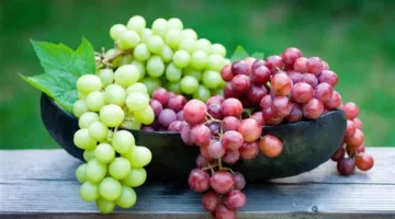 اكتشف الاختلافات بين العنب الأحمر والأخضر.. أيهما أكثر فائدة لصحتك؟