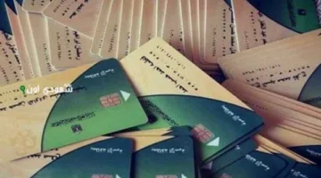 الأحد.. انطلاق توزيع المواد التموينية لشهر يونيو 2025