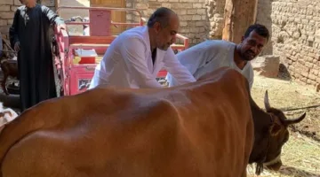 الأربعاء: عيادة بيطرية مجانية في قرية العمارنة بقنا