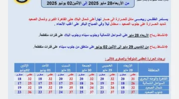 الأرصاد: ارتفاع درجات الحرارة في البلاد وتحذيرات من الرياح النشطة الأسبوع المقبل