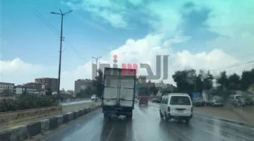 الأرصاد تكشف عن صحة توقعات هطول أمطار رعدية غدًا