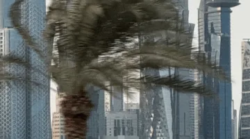الأرصاد تنبه من هبوب رياح قوية على السواحل والمياه المفتوحة