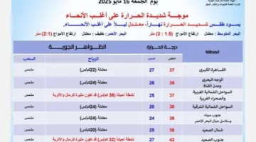 «الأرصاد» تُعلن: ارتفاع حاد في درجات الحرارة ورياح عاصفة محملة بالغبار تضرب البلاد يوم الجمعة المقبل