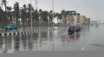 الأرصاد: سقوط أمطار رعدية على السواحل الشمالية