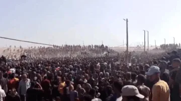 الأمم المتحدة: إصابة حوالي 47 فردًا أثناء توزيع المساعدات في غزة