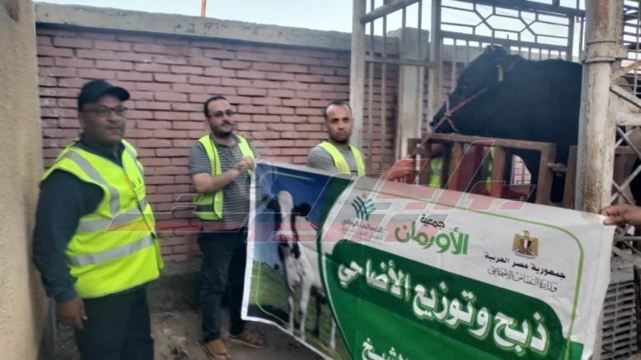 الأورمان تخطط لذبح 30 عجلاً محلياً خلال أيام التشريق في المسلخ العمومي بكفر الشيخ الأورمان تخطط لذبح 30 عجلاً محلياً خلال أيام التشريق في المسلخ العمومي بكفر الشيخ