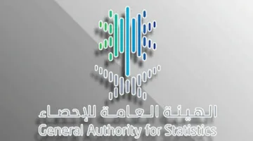 الإحصاءات: حصة الاقتصاد الرقمي من الناتج المحلي الإجمالي تصل إلى 15.6% في عام 2023