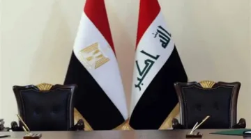 الإحصائيات تُظهر زيادة بنسبة 18.3% في صادرات مصر إلى العراق لعام 2024