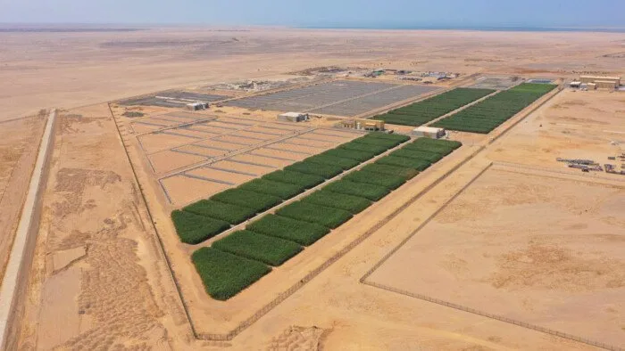 «الإسكان» تستجيب لـ 4 مطالب من «صناعة التطوير العقاري»