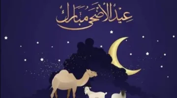 الإعلان الرسمي عن موعد إجازة عيد الأضحى 2025 من دار الإفتاء