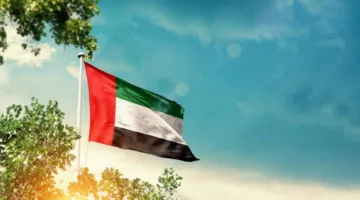 الإمارات تتصدر مجال الاستدامة.. مبادرات دولية في الطاقة المتجددة