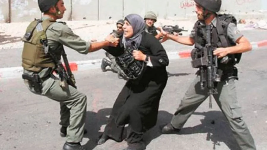 الاحتلال الإسرائيلي يعتقل 530 فلسطينياً، من بينهم 78 طفلاً وامرأة، في الضفة الغربية المحتلة.