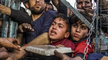 الاحتلال يسيء إلى المحتاجين.. لحظات مروعة أثناء توزيع الإغاثة في رفح الفلسطينية (فيديو)