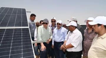 الاستفادة من تقنيات الري الحديثة تعزز الإنتاجية وتقلل استخدام الأسمدة بنسبة 90%