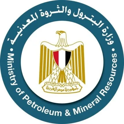 البترول تعلن صرف تعويض لاستبدال طلمبة البنزين المغشوش.. وتحدد قيمة وشروط التعويض