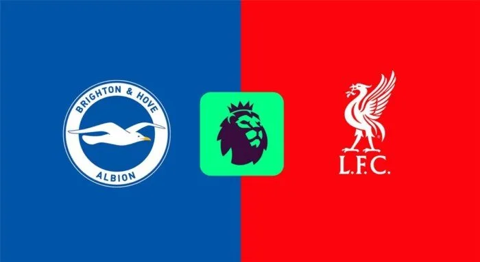 البث المباشر لمباراة ليفربول وبرايتون في الدوري الإنجليزي اليوم البث المباشر لمباراة ليفربول وبرايتون في الدوري الإنجليزي اليوم