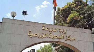 البحوث الزراعية”: القيادة السياسية تعطي أهمية كبيرة لـ”مستقبل مصر في مجال التنمية