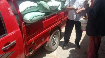 البحيرة: استلام أكثر من 210 آلاف طن من القمح في مخازن وصوامع البحيرة