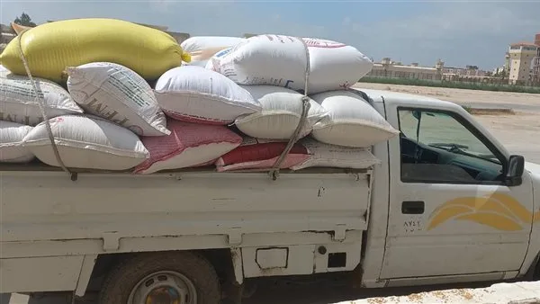 البحيرة تزود بأكثر من 274 ألف طن من القمح منذ بداية الموسم البحيرة تزود بأكثر من 274 ألف طن من القمح منذ بداية الموسم