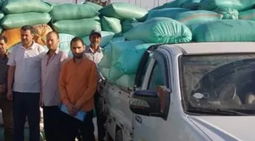البحيرة: تسليم أكثر من 175 ألف طن من القمح المحلي مطابق للمواصفات