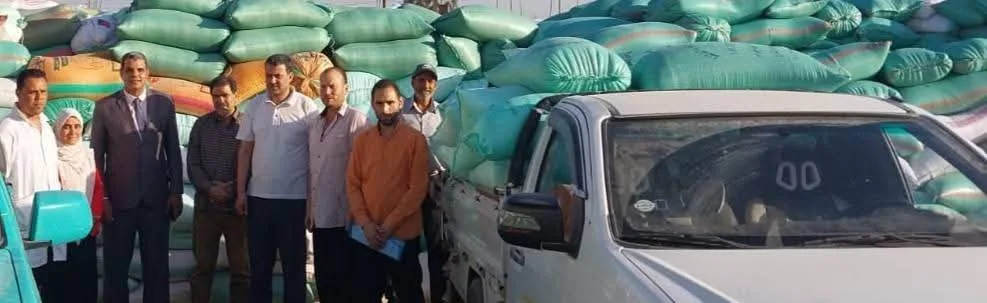 البحيرة: تسليم أكثر من 175 ألف طن من القمح المحلي مطابق للمواصفات