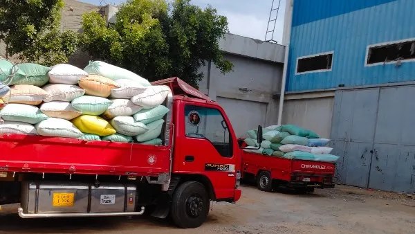 البحيرة: توريد 54169 طن قمح لشون وصوامع المحافظة