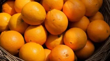 البرتقال: كنز غذائي يعزز الصحة ويحارب الأمراض