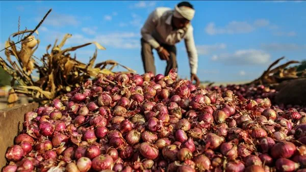 البصل الأحمر يبدأ بـ20 جنيها.. أسعار الخضراوات في الإسكندرية اليوم الجمعة البصل الأحمر يبدأ بـ20 جنيها.. أسعار الخضراوات في الإسكندرية اليوم الجمعة