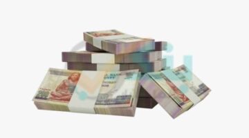 البنك المركزي: التسهيلات الائتمانية للأفراد تتخطى 1.139 تريليون جنيها بنهاية 2024
