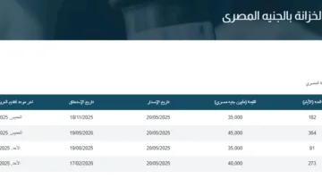 البنك المركزي ي发行 أذون خزانة محلية بقيمة 75 مليار جنيه يوم الأحد القادم