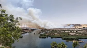 البيئة تنفي حدوث حريق في محمية سالوجا وغزال في أسوان