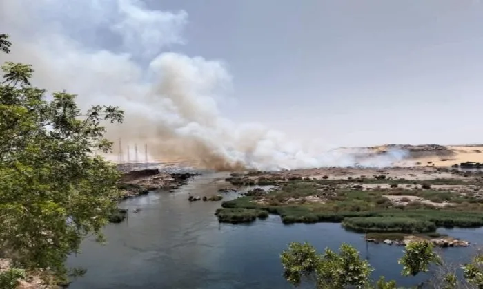 البيئة تنفي حدوث حريق في محمية سالوجا وغزال في أسوان البيئة تنفي حدوث حريق في محمية سالوجا وغزال في أسوان