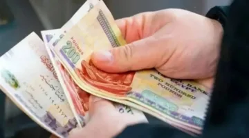 التأمينات الاجتماعية تحدد تاريخ دفع معاش يونيو 2025